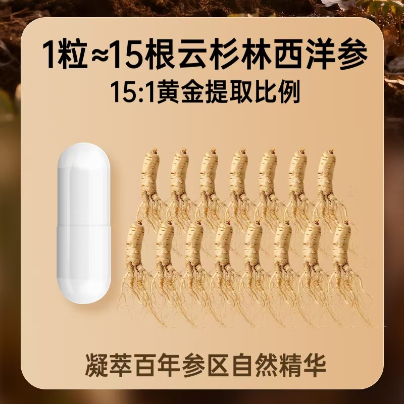 高瑞莱极参 60粒/瓶
