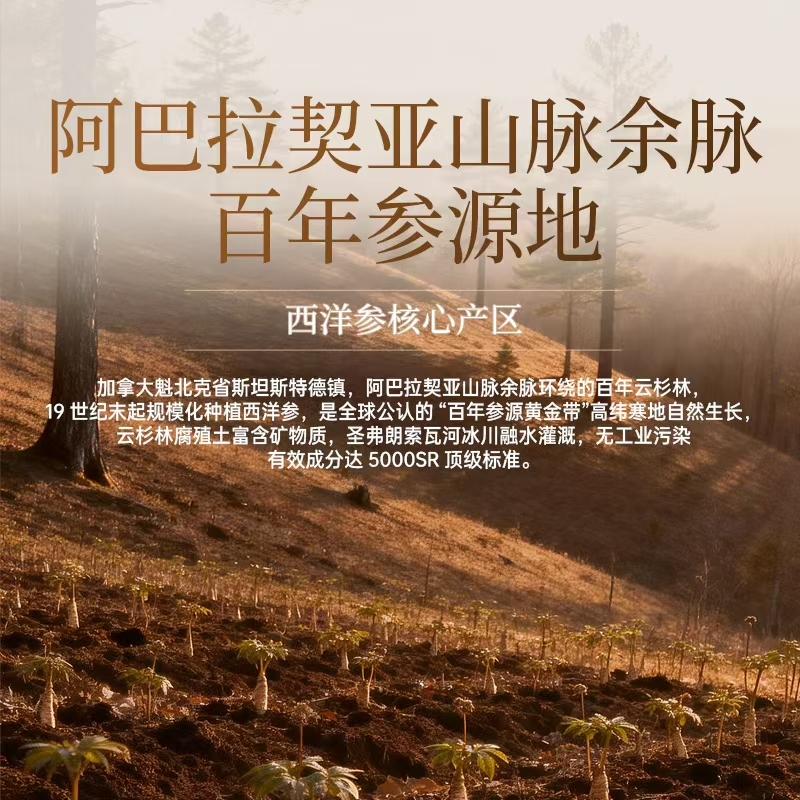 高瑞莱极参 60粒/瓶
