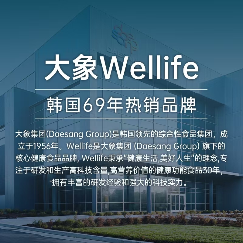 Wellife 韩国大象 冷溶脂质体维生素C 2g*30包