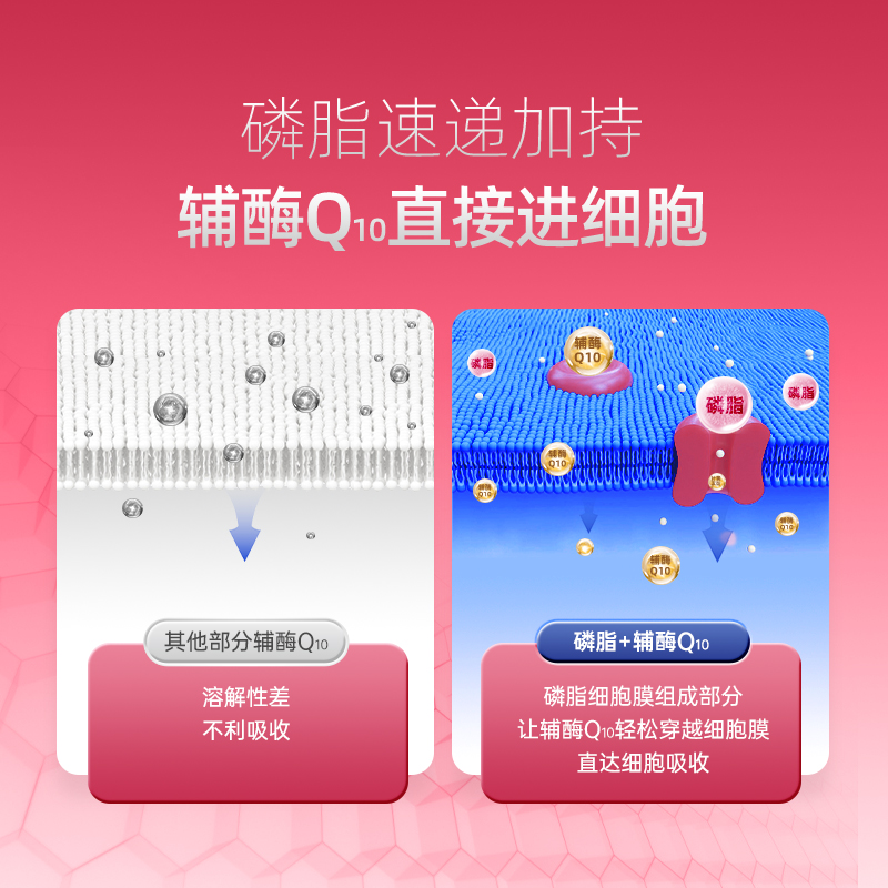 逢时辅酶Q10 胶囊 30粒/盒
